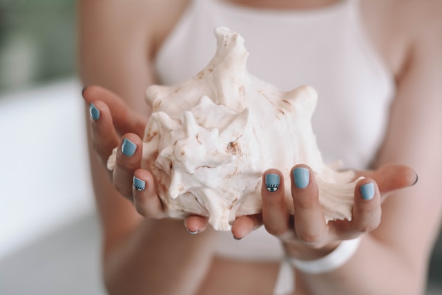 新作：○○の○○